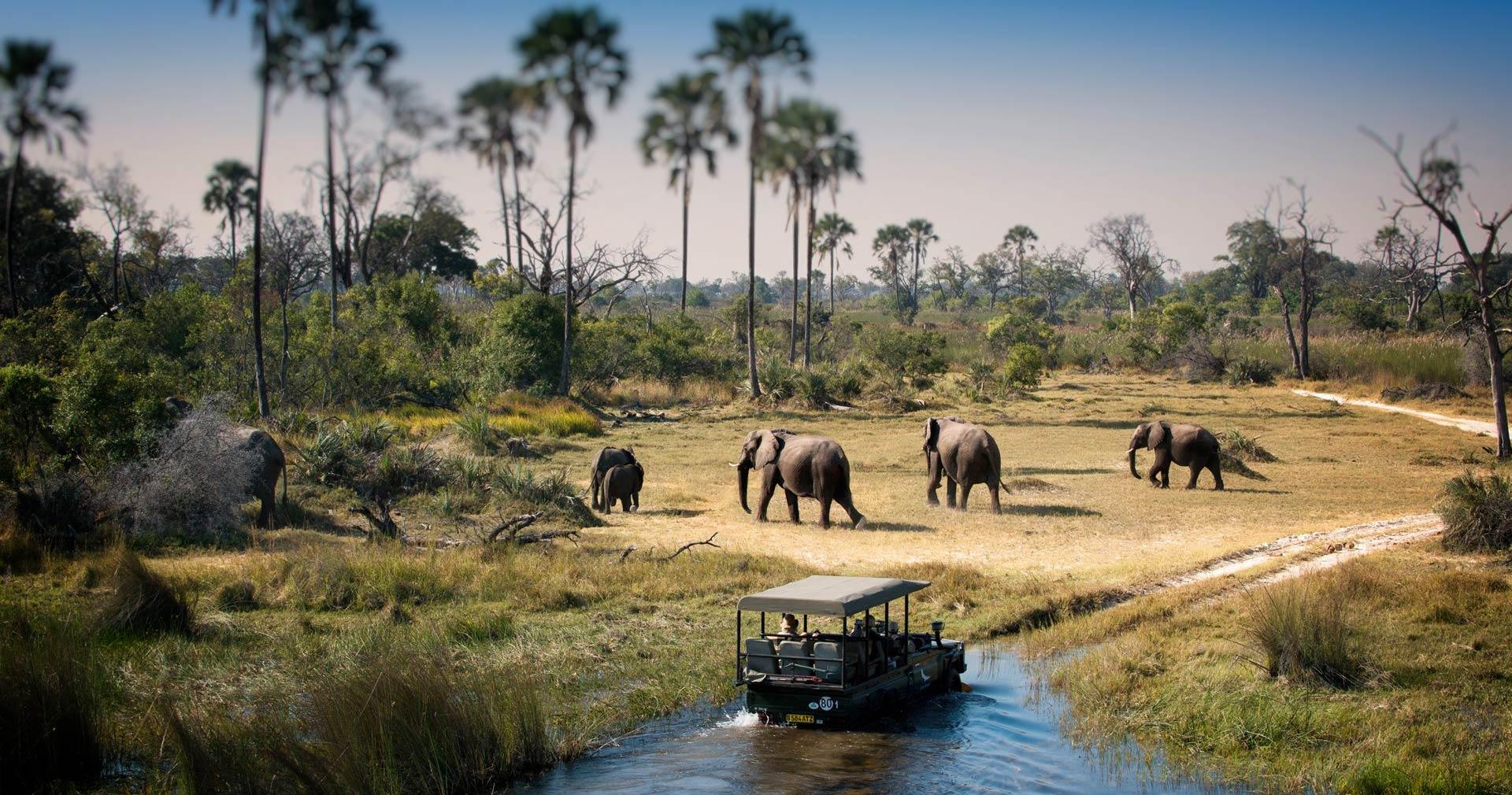 Madikwe & Pilanesberg Safari Holidays